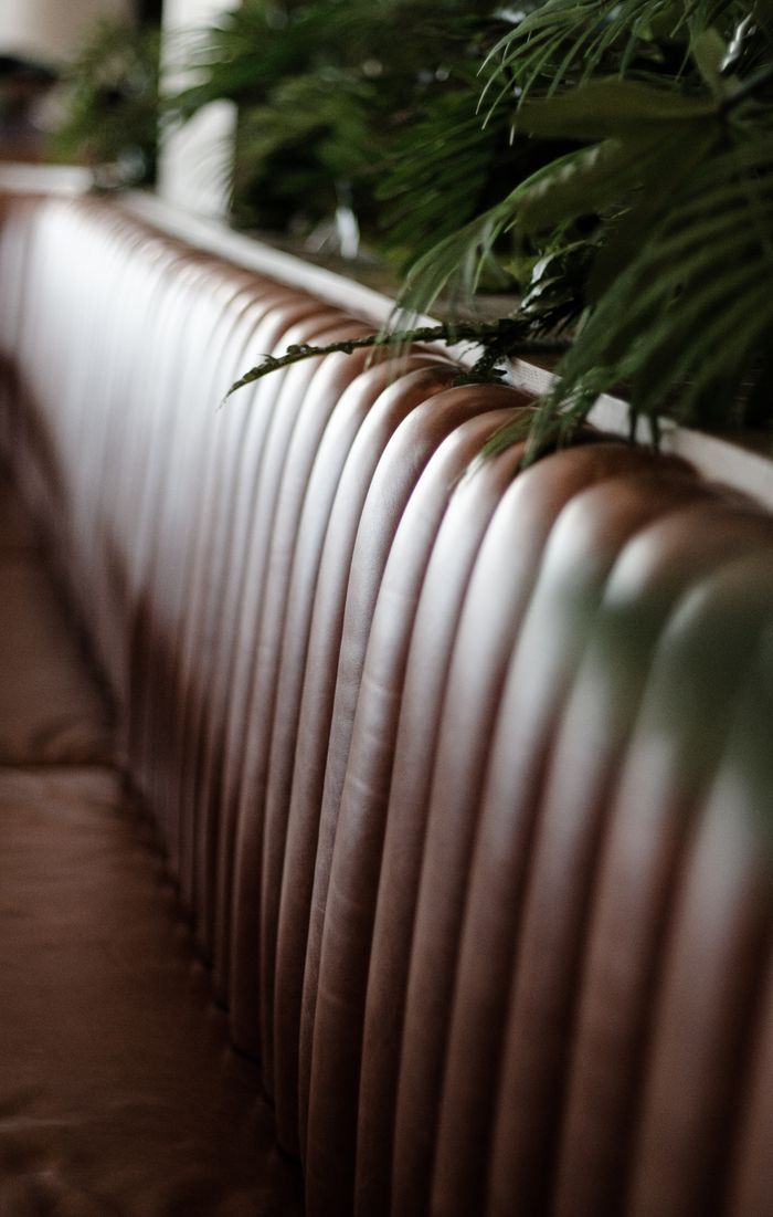 The Art of Drawing Readers In: Your attractive post title goes here Close-up of a luxurious leather booth with lush green plants indoors.